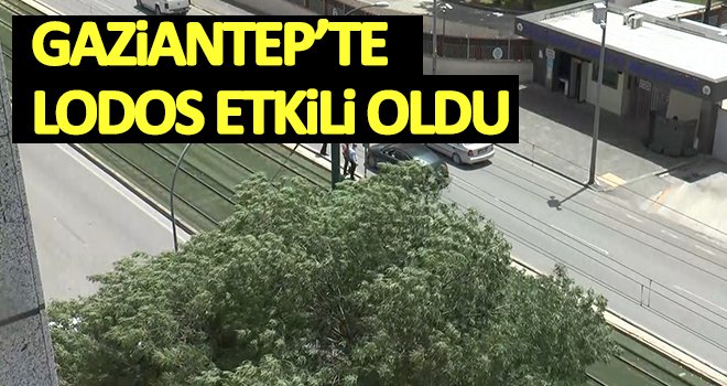 Gaziantep’te hızı 30 kilometreyi aşan lodos etkili oldu