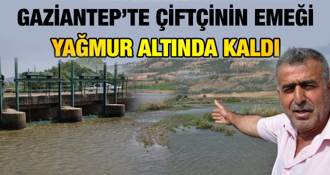 Gaziantep'te Karasu Çayı taştı; ekili alanlar su altında kaldı