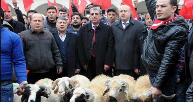 Gaziantep'te sanayi esnafı, Mehmetçik için kurban kesti