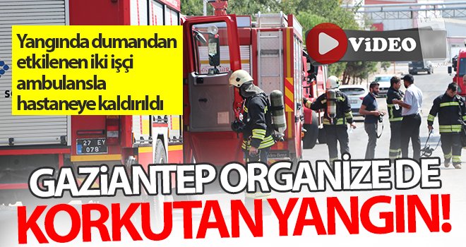 Gaziantep’te tahıl fabrikasında çıkan yangın korkuttu