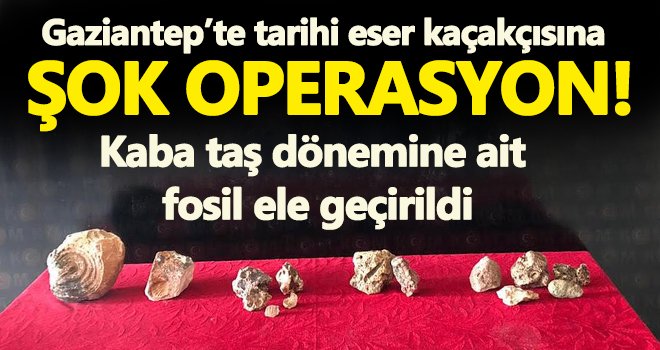 Gaziantep'te tarihi eser kaçakçısına şok operasyon!