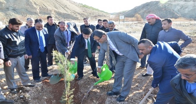 Gaziantep’te Türkiye-Suriye kardeşlik ormanı kuruldu