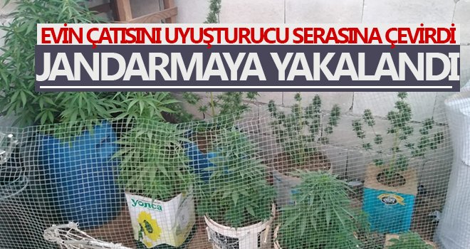 Gaziantep'te uyuşturucu tacirinin evine şok baskın!