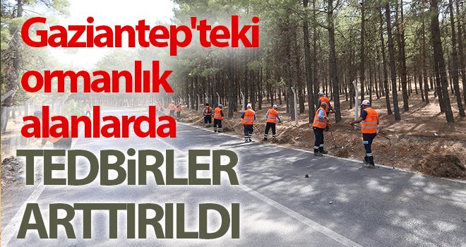 Gaziantep'teki ormanlık alanlarda tedbirler arttırıldı