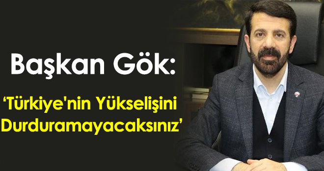 Gök: ‘Türkiye'nin Yükselişini Durduramayacaksınız’