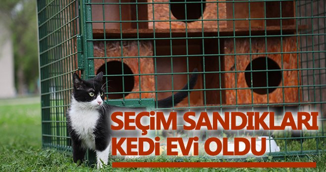 Hayri Tütüncüler Parkı’na yeni kedi evleri kuruldu