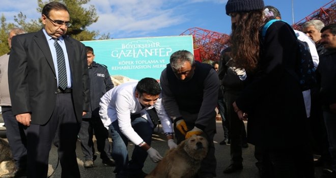 Hayvanat bahçesinde 'Hayvan Koruma' semineri