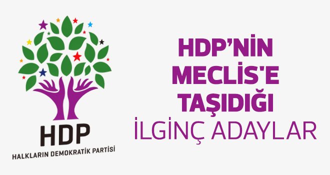 HDP'nin Meclis'e taşıdığı ilginç adaylar