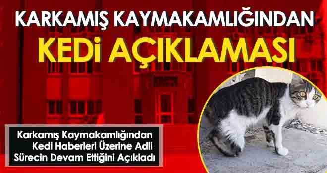 Karkamış Kaymakamlığından Kedi Açıklaması