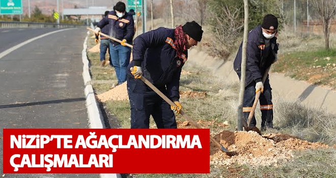 Nizip’te ağaçlandırma çalışmaları