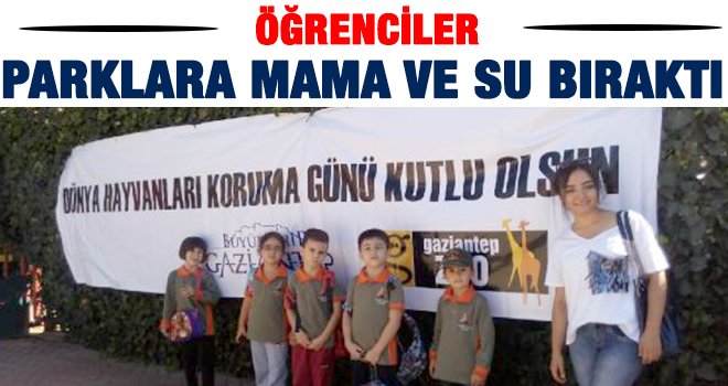 Öğrenciler kentteki parklara hayvanlar için su ve mama bıraktı