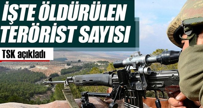 Öldürülen terörist sayısı, 3 bin 347 oldu