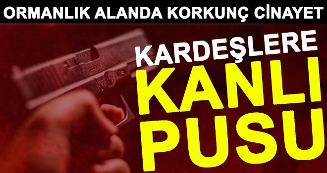 Ormanda 2 kardeşe kanlı pusu: 1 ölü, 1 yaralı