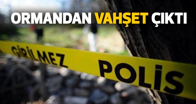 Ormandan vahşet çıktı