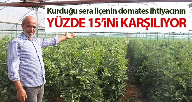 Seracılık ile yılda 160 ton domates topluyor