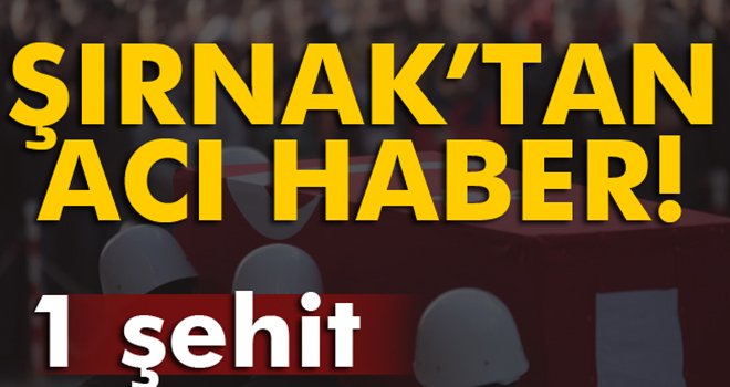 Şırnak'ta el yapımı patlayıcı infilak etti: 1 şehit