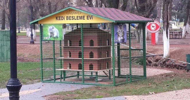 Sokak Kedileri İçin Besleme Evi Ve Barınak Yapıldı