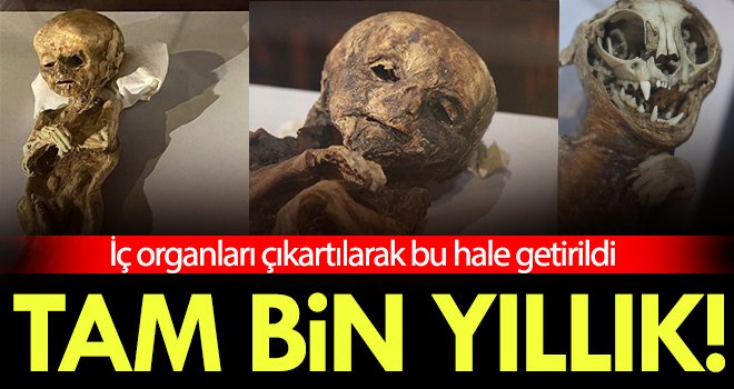 Tam bin yıllık! Kedi mumyası bile var!