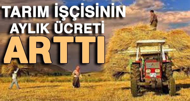 TÜİK açıkladı! işgücü ücretleri arttı