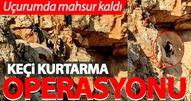 Uçurumda mahsur kalan keçiye kurtarma operasyonu