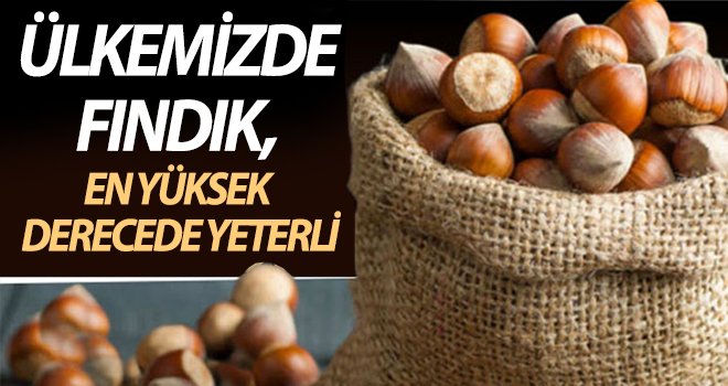 Ülkemizin değerleri: Fındık, kayısı, incir ve daha nicesi 