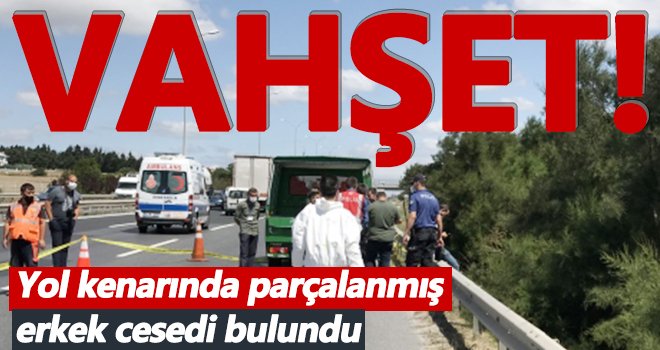 Yol kenarında parçalanmış erkek cesedi bulundu...