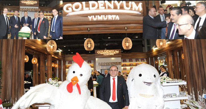YUMURTANIN PARLAYAN YILDIZI GOLDENYUM